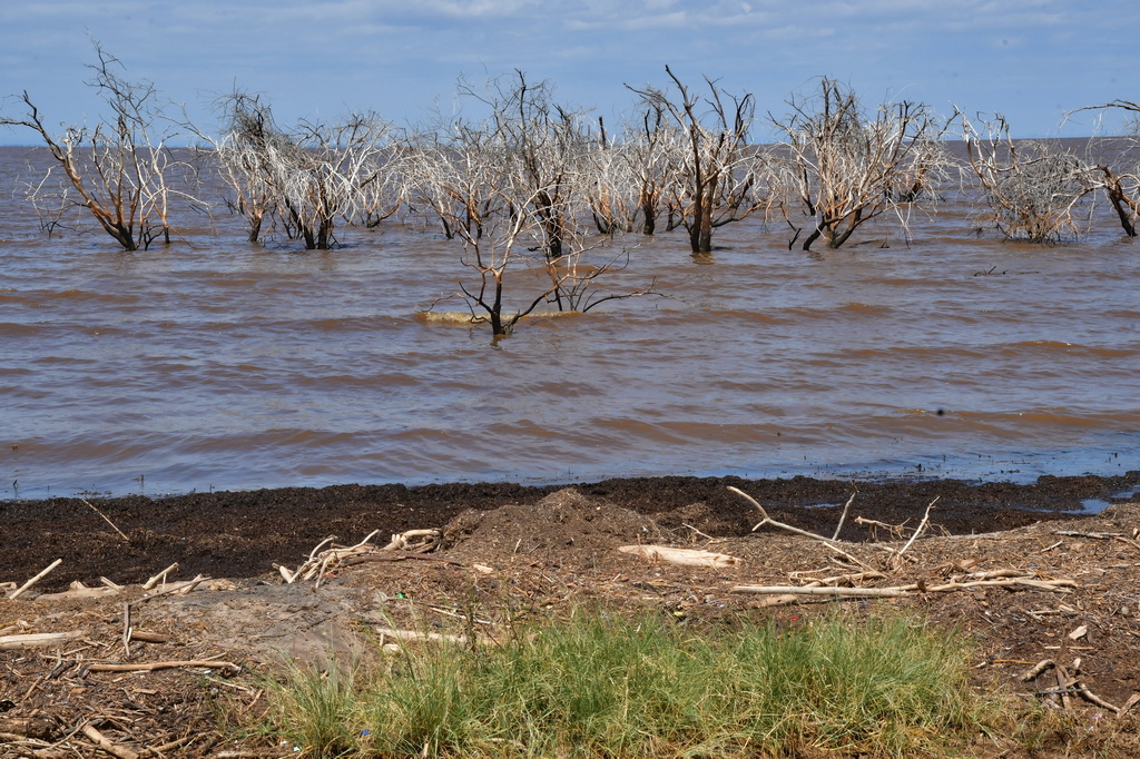 Lake Manyara NP